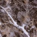Самоклеящаяся виниловая плитка 600*300*1,5мм (СВП-109 глянец)